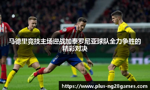 南宫28